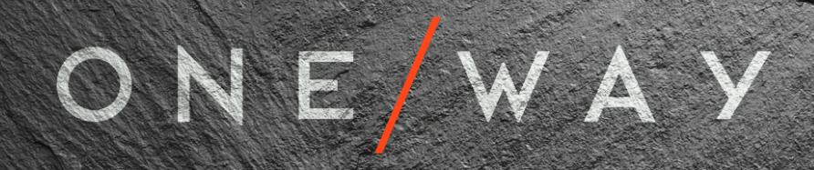 One Way Ski Poles and Protection