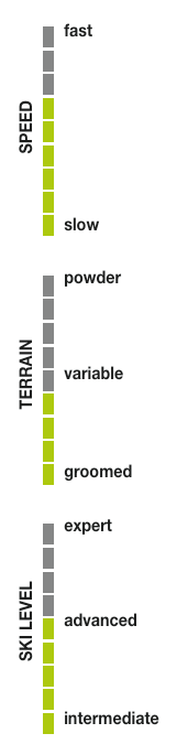 Elan WINGMAN 80 TI Shift X EL 10.0  2026