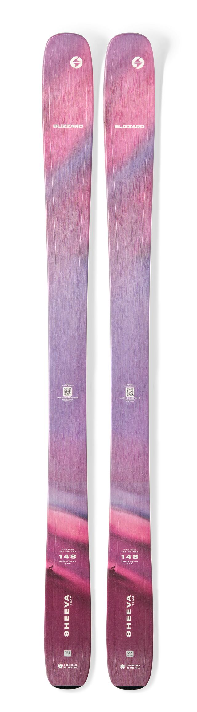 Blizzard Sheeva Team  2026