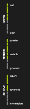 Elan Ripstick 102 Black Edition Skis 2026