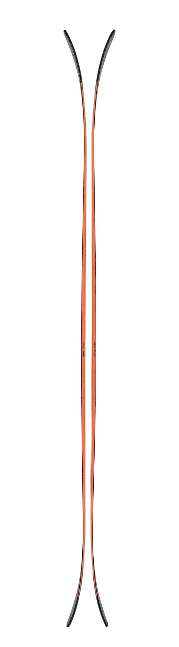 zsiDposg_600x.jpg?v=1778512180